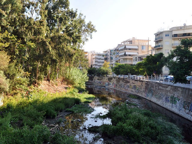 Το ρέμα στο Π. Φάληρο γέμισε νεκρά ψάρια