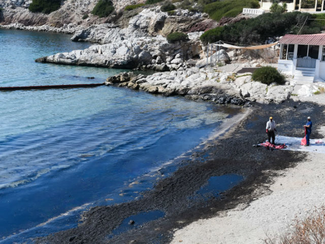 Σε δύο χρόνια θα καθαρίσει ο Σαρωνικός, σύμφωνα με τον Πρόεδρο Τοξικολογίας