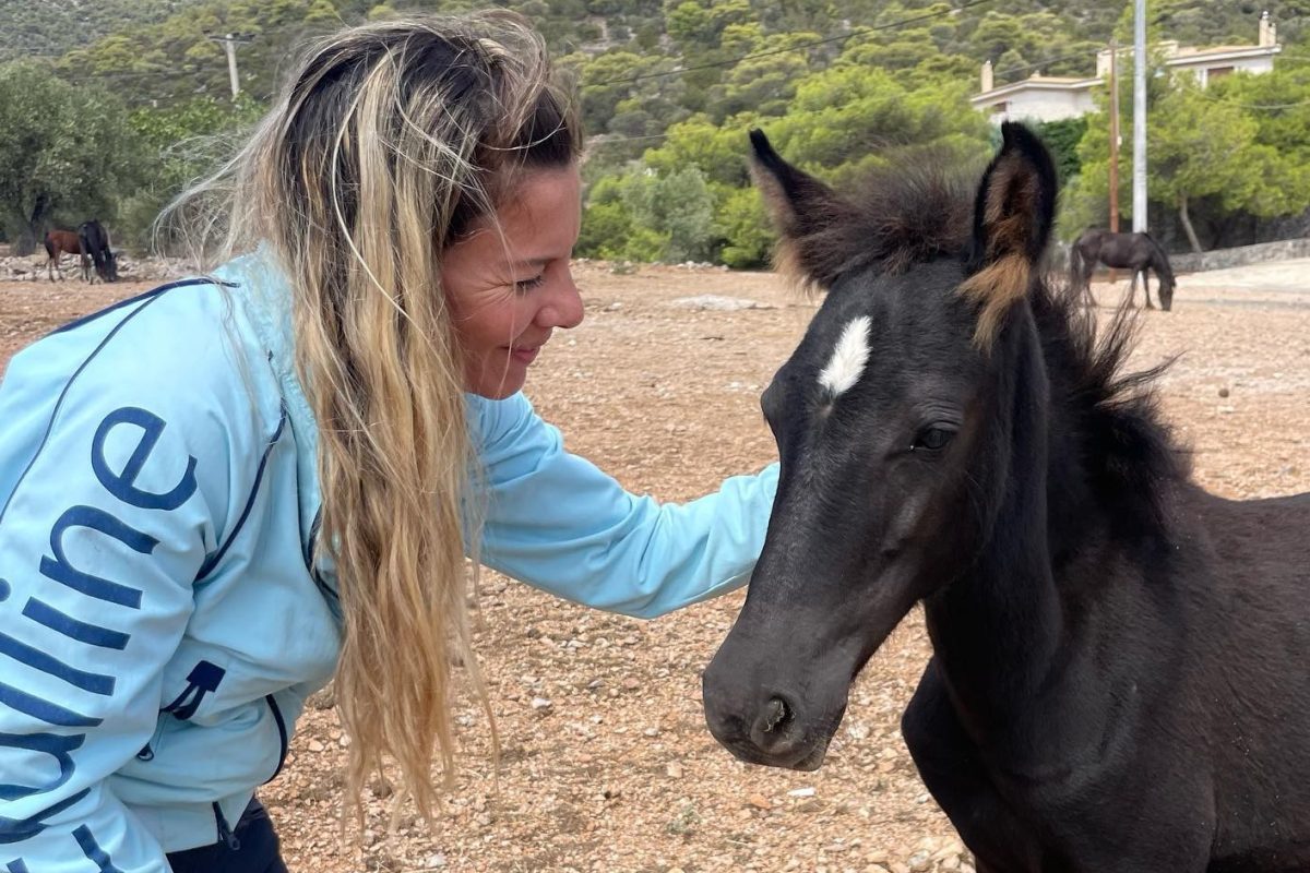 Help Horses Ymittos: Ένας χρόνος προσπάθειας για τη διάσωση των αλόγων του Υμηττού