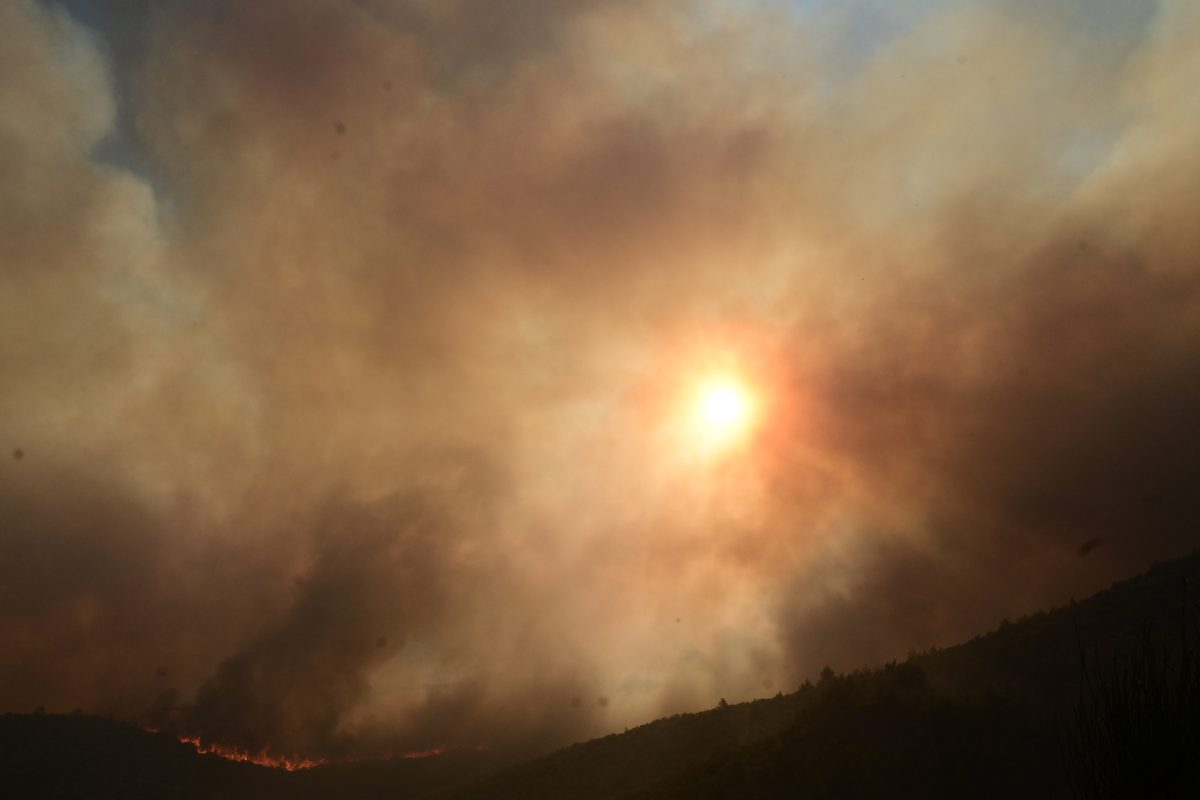 Αναβολή προσέλευσης παιδιών στην κατασκήνωση του Δήμου Αγίου Δημητρίου στη Ραφήνα για λόγους ασφαλείας