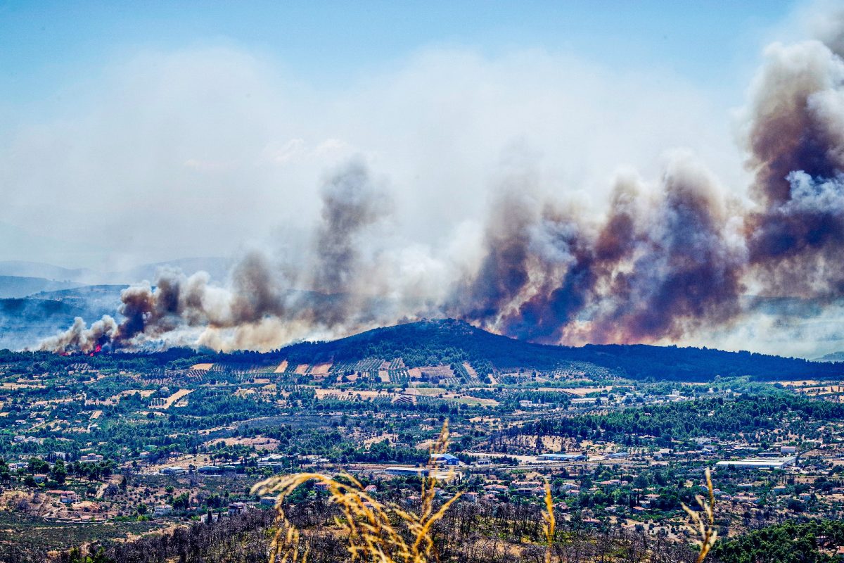 Φωτιά στη βορειοανατολική αττική - Δευτέρα 12 Αυγούστου 2024