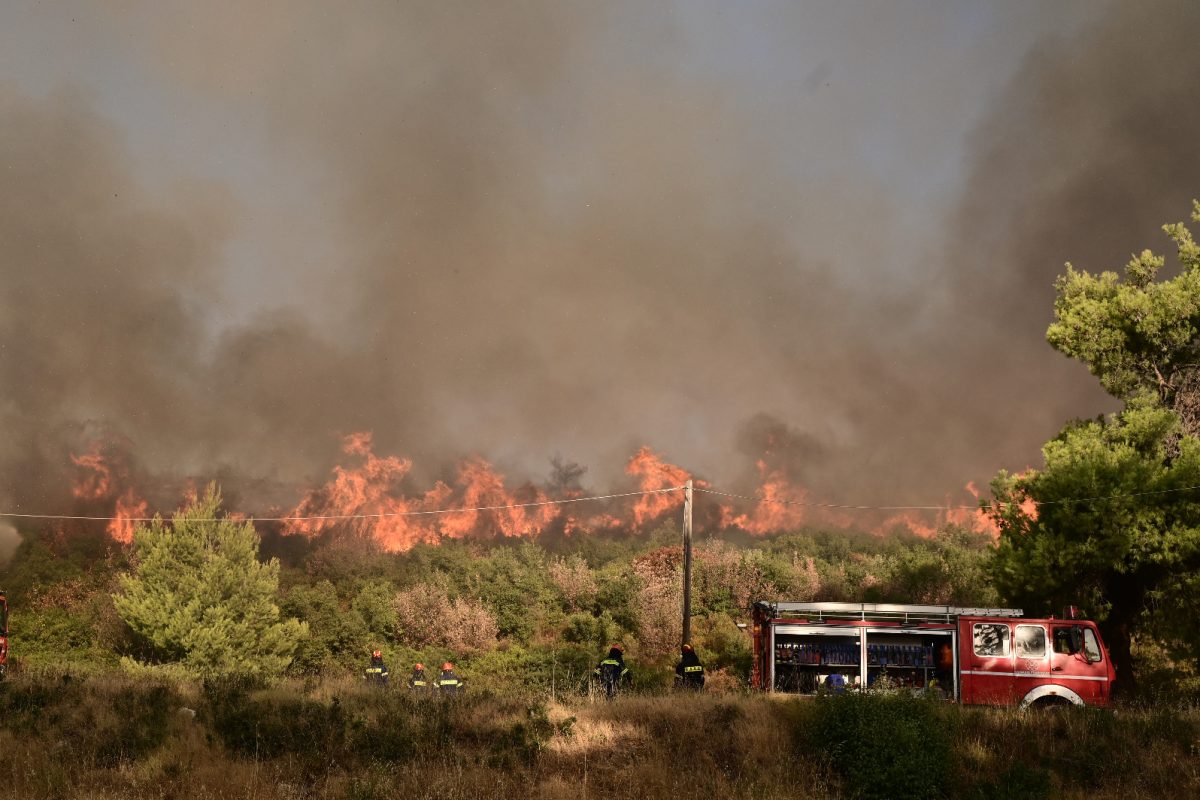 Φωτιά στη βορειοανατολική αττική - Δευτέρα 12 Αυγούστου 2024